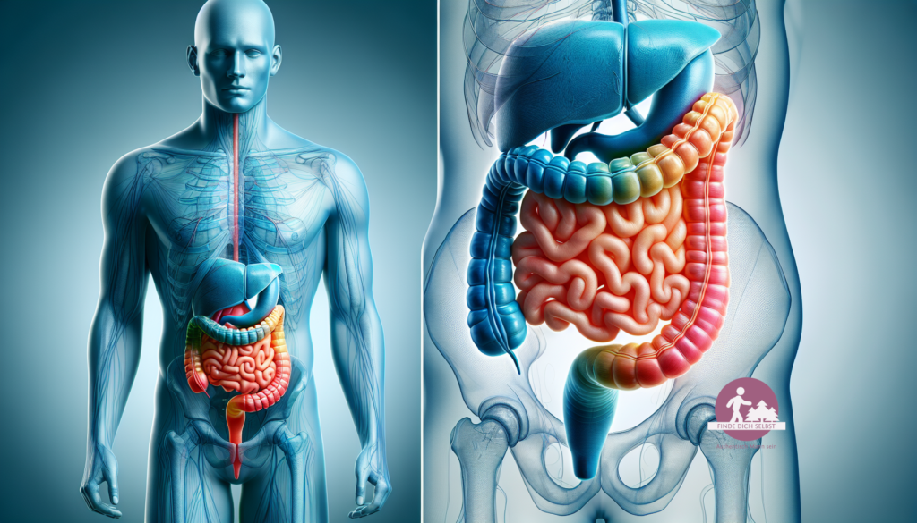 Darmgesundheit - ein gesunder Darm ist essentiell für eine gute Gesundheit.